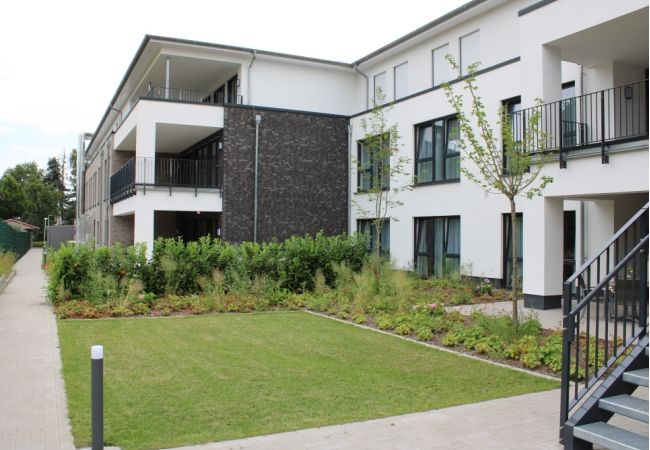 Image - IMG 0248